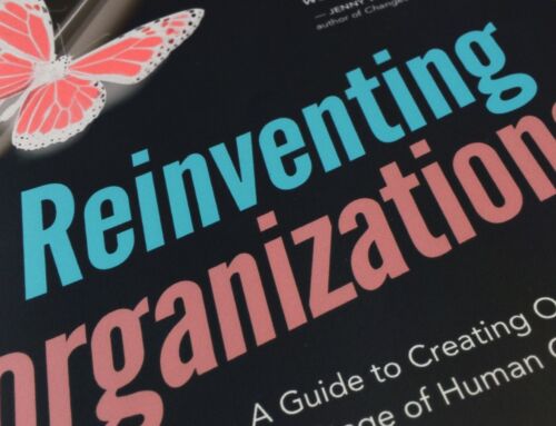 Reinventing Organziations: A Critical Vision