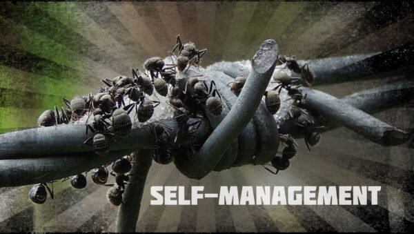 self-management-next-stage-organization-organizational-innovation