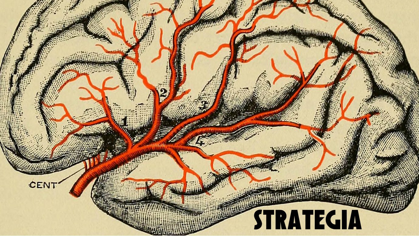 estratégia e o pensamento estratégico