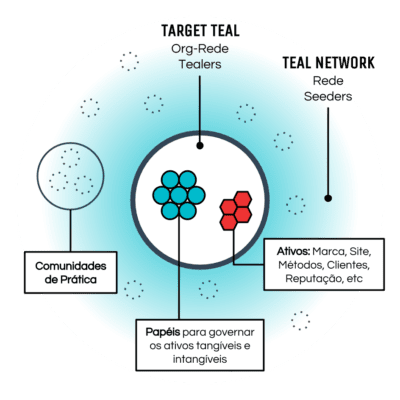 Teal Network