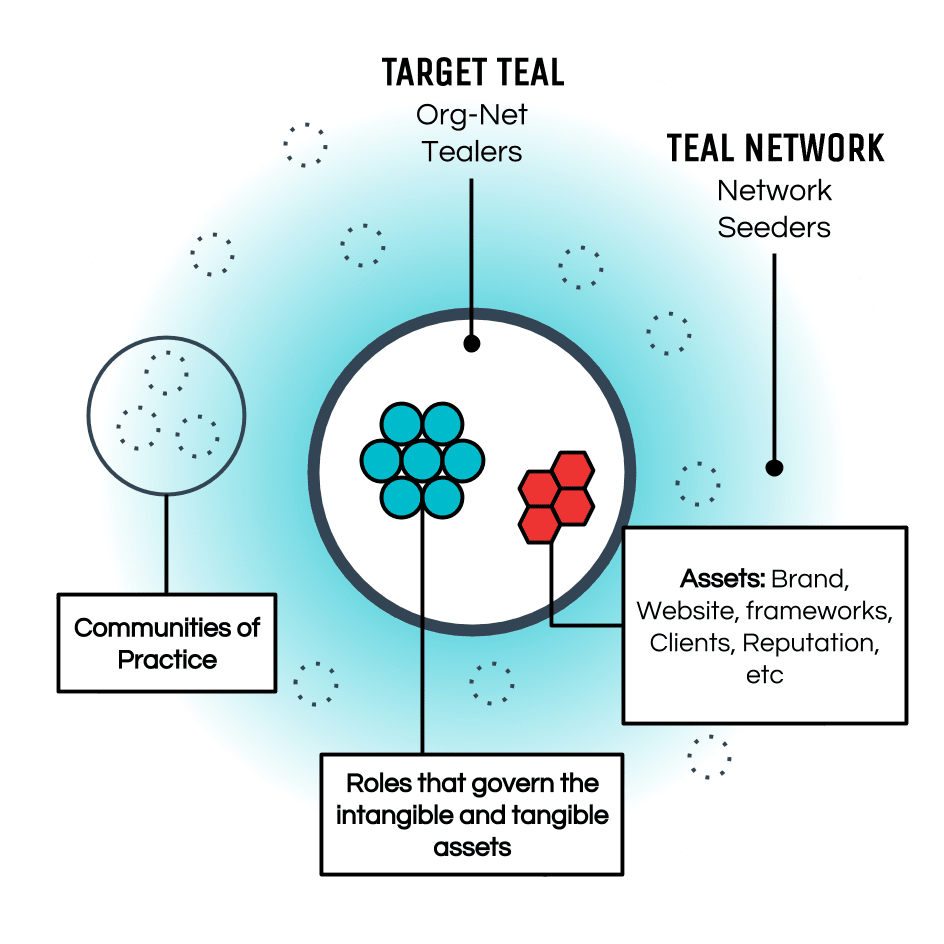 Teal Network (en_US)