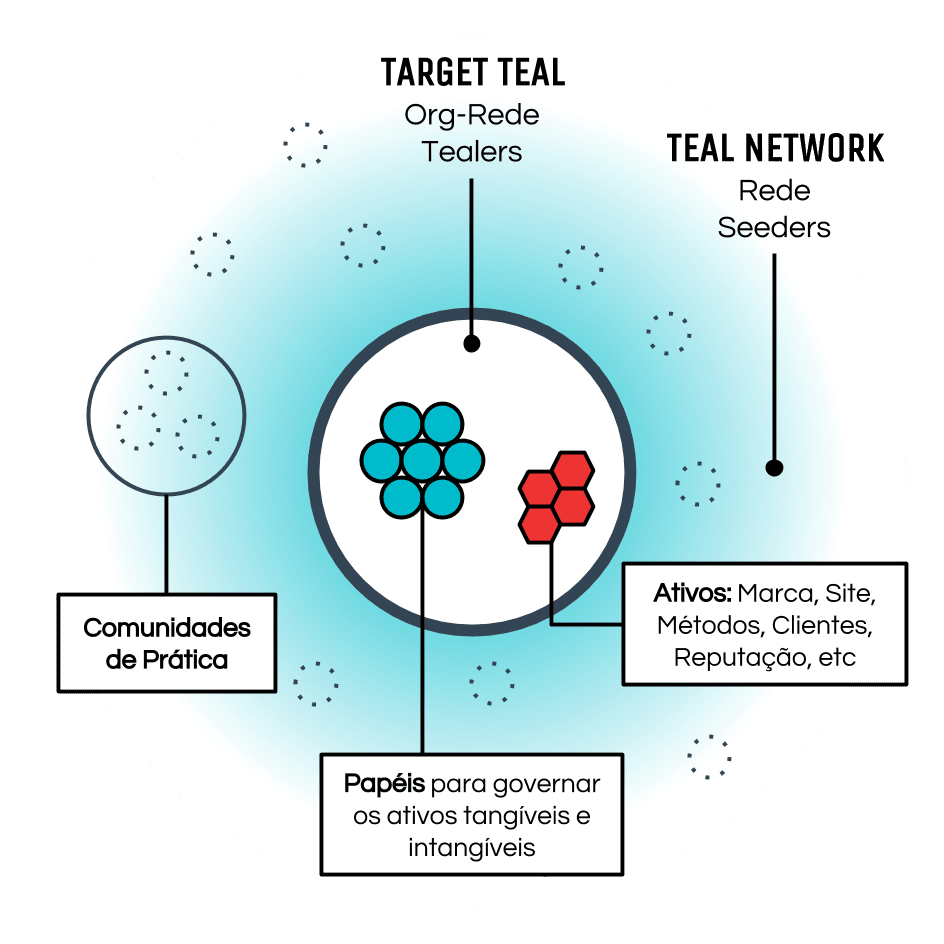 Teal Network Teal Network
