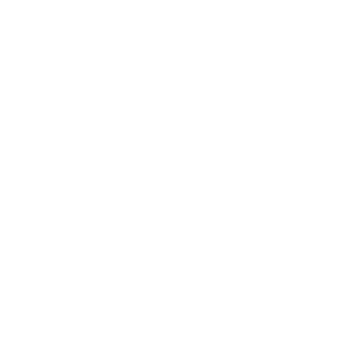 bussola_icon