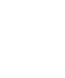 checklist_icon