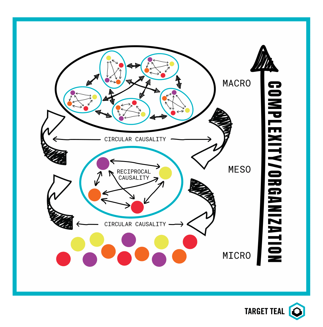 complexty_organization
